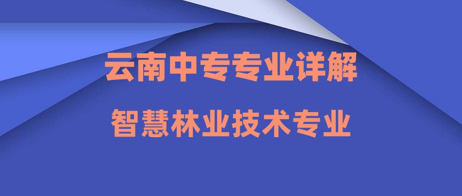 2024年云南中专就读智慧林业技术专业好吗